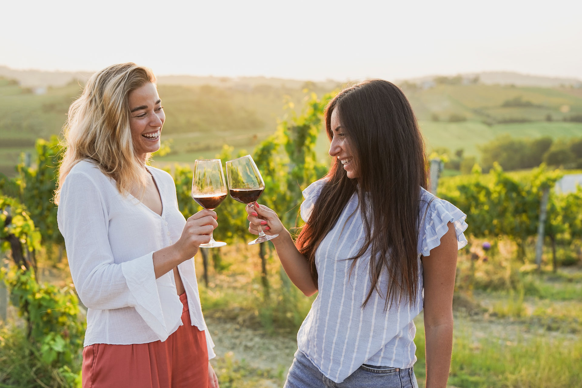 Two women clinking wine glasses at a vineyard during golden hour